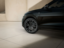 
										Audi Q8 SUV Black line TFSI e quattro 290 kW tiptronic full									