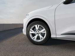 
										Audi Q5 SUV Advanced TDI quattro 150 kW S tronic full									