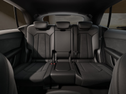 
										Audi Q8 SUV Black line TFSI e quattro 290 kW tiptronic full									